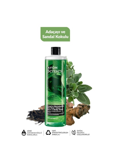 Nane Deniz Adaçayı Sandal Greyfurt Ve Bergamot Kolu Erkek Duş Jeli Paketi Fresh