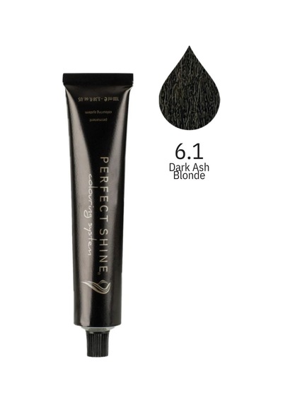Perfect Shine Permanent Profesyonel Saç Boyası 100 ML Yoğun Koyu Küllü Kumral Ash