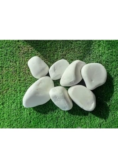Payam44 Beyaz Dolomit Taş 20 Kg 2,5-4 Cm Dekoratif Taş Bahçe Süs Taşı
