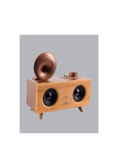 Gramafon Hoparlör Çift Stereo Sesli Fm Radyo Destekli