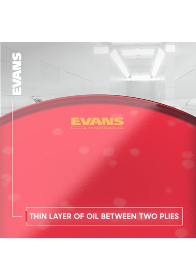 Evans B14hbg 35,56cm 14 Zoll Snarefell Hydraulic Schwarz