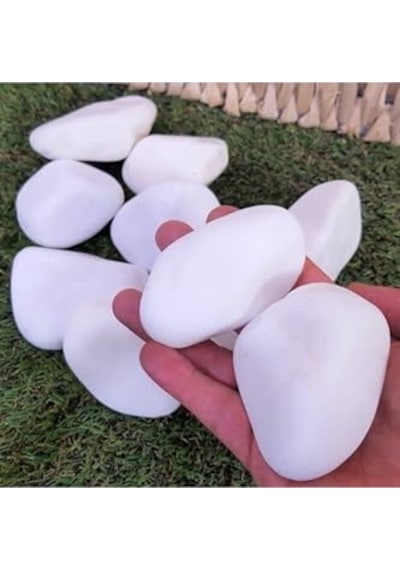Asenya Beyaz Dolomit Taş 10 Kg 4-6 Cm Dekoratif Taş Bahçe Süs Taşı Doğal Dere Çakıl Taşı