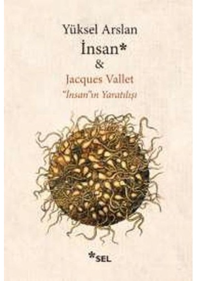 İnsan - Kyut-763089