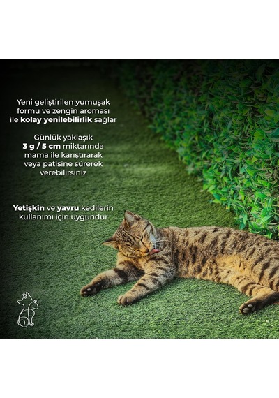 Biyotin & Kolajen Deri Ve Tüy Sağlığı Kedi Maltı, Spirulina İçerikli, Tüy Dökülme Karşıtı 100 Ml
