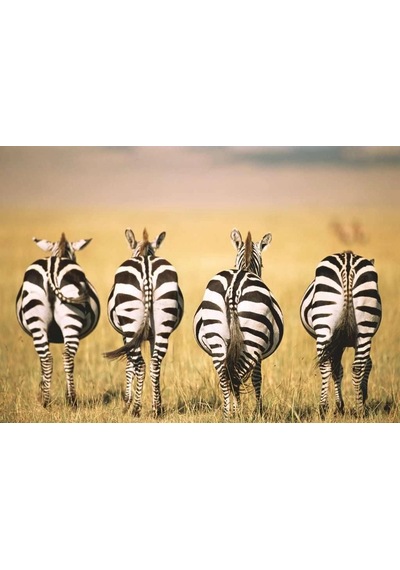 Ravensburger Zebra Puzzle 300 Parça