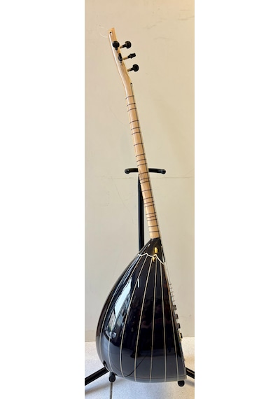 Artemis Leslili Elektro Bağlama - Model 4