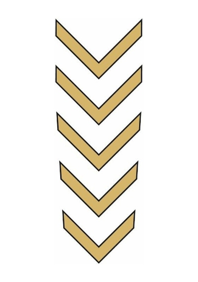 Cg Gold Çamurluk Üst Sticker Siyah