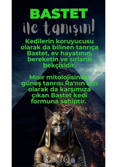 Petjoo 1.Bastet Gri-Yeşil Qr'lı Kedi Künyesi