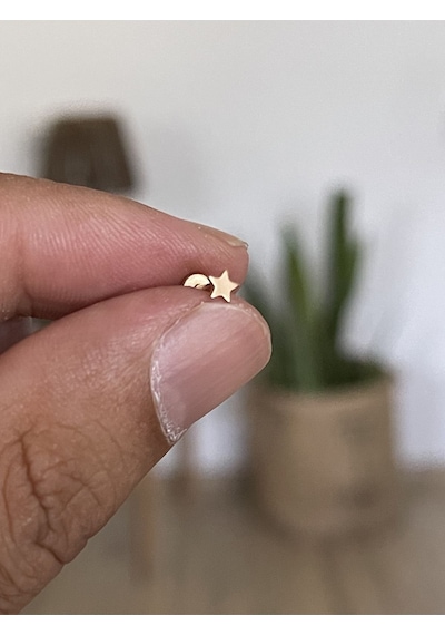 316 L Cerrahi Çelik Tragus Helix Kıkırdak Conch Minik Yıldız Piercing Beyaz Altın