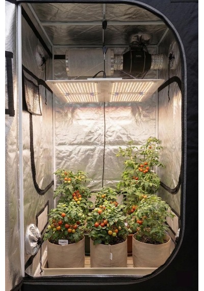 Gardensgarage Gen 5 Ls Evo 250w Led Bitki Yetiştirme Lambası, Samsung Lm301h Evo, 60x20cm, Ip68 Su Geçirmez