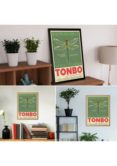 Tonbo Yusufçuk Dragonfly Delight Classy Şans Poster Çerçevesiz