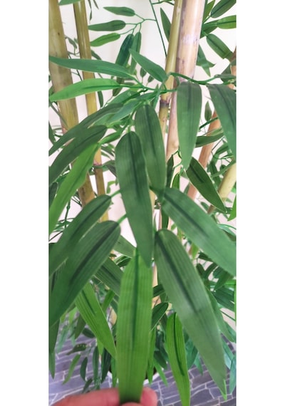 Rüzgar Çiçekcilik 170 Cm 6 Gövdeli Bambu Yeşil
