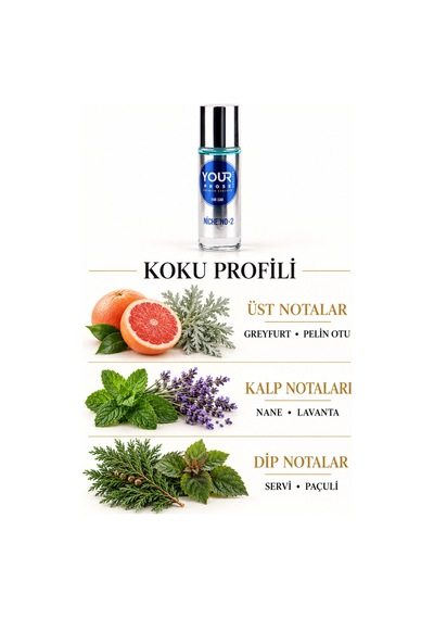 Your Prose Niche No. 2 Unisex Sprey Parfüm 30 Ml Kişisel Kullanım Ve Araç Parfümü - 8690352298789i Aromatik - Odunsu