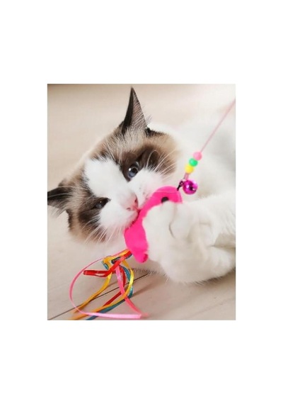 Balıklı Kedi Oyun Oltası Hareketli Çıngıraklı Renkli Olta Oyuncak Çok Renkli - 825979018