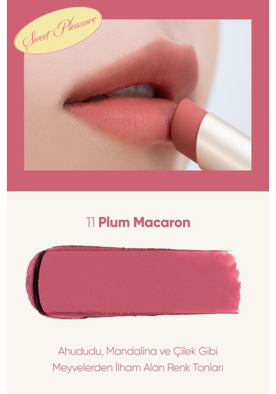 Clio Chiffon Mood Lip 11 Plum Macaron