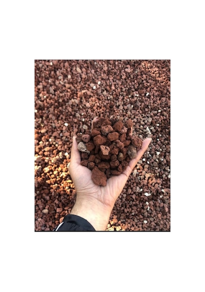 10 Kg Volkanik Curuf Taşı Peyzaj
