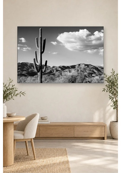 Fida Siyah Beyaz Saguaro Kaktüsü Ve Bulutlar Canvas Tablo Beyaz - Siyah
