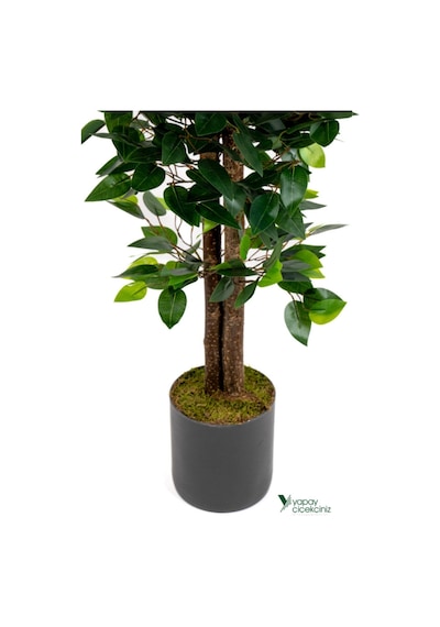 Yapay Çiçekçiniz 2 Adet Gri Saksıda Çim Detaylı 100 Cm Yapay Benjamin Ve Yapay Bambu Ağacı