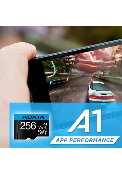 Premier 256 Gb Microsdxc Uhs-ı Class 10