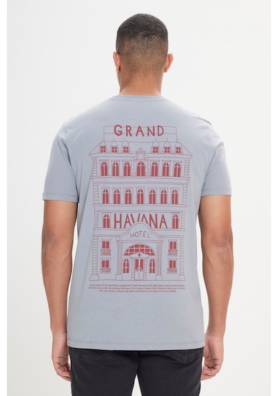 AC&Co / Altınyıldız Classics Erkek Grı Standart Fit Normal Kesim Baskılı Bisiklet Yaka Tişört Gri