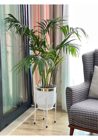 Metal Saksı Ayaklı Çiçeklik Dekoratif Beyaz Saksı Vazo Saksılık 50x30cm