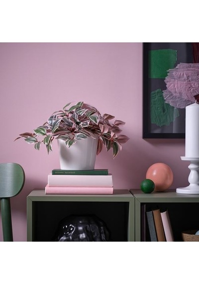 Ikea Fejka Yapay Bitki, Yeşil, 12 Cm, İç/dış Mekan Tradesceantia