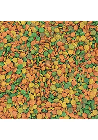 Tropikal Paraket Pelet Yemi - 10 Kg Enerji Dolu