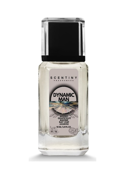 Scentiny Fragrances Dynamic Man Erkek Parfüm EDP 50 ML