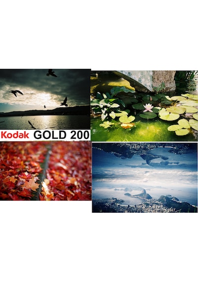 Fotoğraf Filmi Kodak Gold 200 35mm 36 Poz Analog Renkli Film