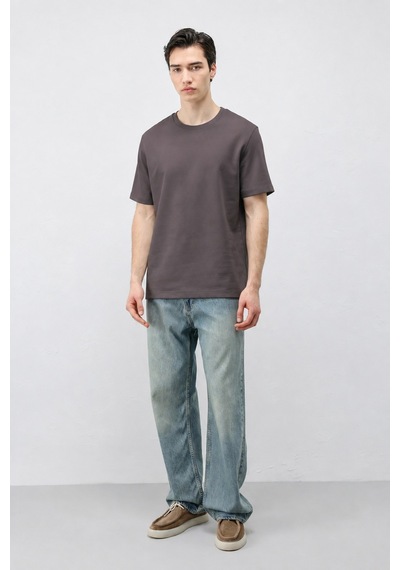 Antioch Regular Fit Basic Erkek T-shirt Koyu Vizon
