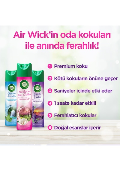Airwick Aerosol 300 Ml. Manolya Ve Kiraz Çiçekleri 6'lı Kiraz Çiçeği