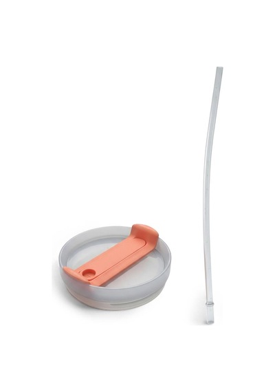 Any Morning Vaha 1200 Ml Termos Mug Kapağı Ve Pipet Açık Somon