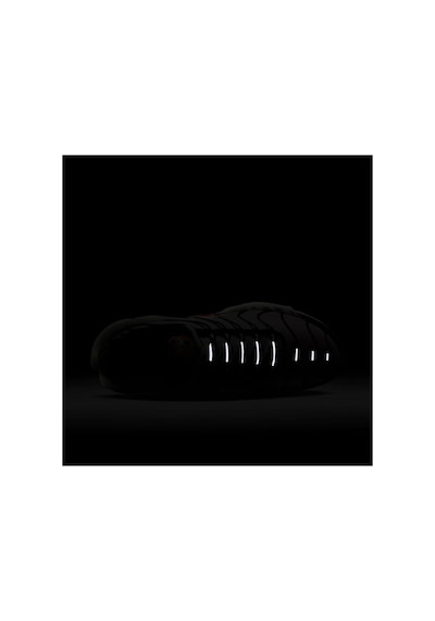 Nike Air Max Plus 'animal Instinct' Kadın Sneaker Ayakkabı Dz4842-600 Pembe