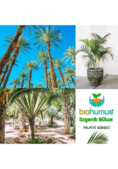 Biohumus Palmiye İçin, Organik Gübre, Organik Sertifikalı, Kök Geliştirici, Toprak Düzenleyici, Bitki Besleyici 25 Kg 1 Diğer
