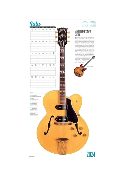 Guitars Wall Calendar 2024: A Year Of Pure Mojo Çok Renkli