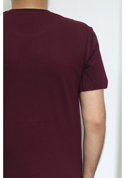 Santa Dmc Tekstil Erkek Düz Spor Kesim Normal Kalıp Bisiklet Yaka T-shirt Bordo