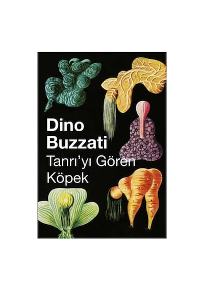 Tanrı'yı Gören Köpek - Dino Buzzati
