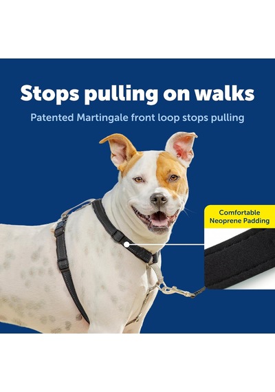 Petsafe The Makers Of The Easy Walk Harness, 3'ü 1 Arada Koşum Kayışı, Tamamen Ayarlanabilir, Çekmez Köpek Koşumu, Orta Boy Siyah Petsafe The Makers Of The Easy Walk Harness, 3'ü 1 Arada Koşum Kayışı, Tamamen Ayarlanabilir, Çekmez Köpek Koşumu, Orta Boy Siyah