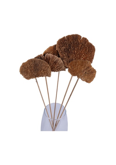 Yapay Çiçek Sitesi Kuru Çiçek Doğal Mushroom Mantar 50 Cm 5li Naturel