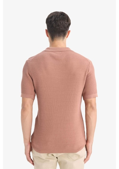 DeFacto %100 Pamuk Standart Fit Polo Yaka Kısa Kollu Triko Tişört E5860AX25SMBN300