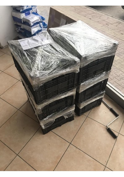 Bahçe Tipi Lavanta Fidanı 3 Adet 15-25 Cm İntermedia N11.23105