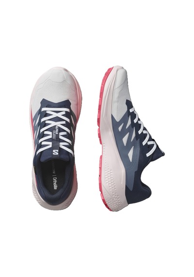 Salomon Alphaglıde Gore-tex Kadın Ayakkabısı L47802300 Çok Renkli