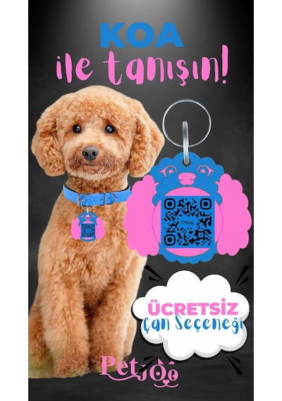 Petjoo 14.Koa Pembe-Mavi Qr'lı Köpek Künyesi