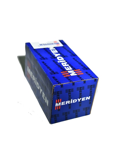 Meridyen Sunta ve Ağaç Vidası 200-5X60