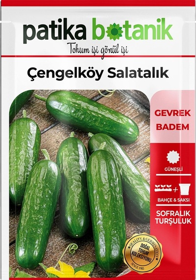 120 Adet Yerli Ata Çengelköy Salatalık Tohumu