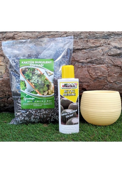 Tropikal Kaktüs Besini 225 Ml Sıvı Gübre + 3 Lt Toprağı + 0,55 Lt Sarı Saksısı 3'lü Set
