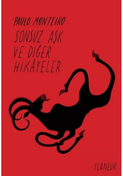 Sonsuz  Aşk