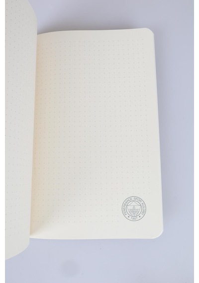 Lisanslı Fenerbahçe Noktalı Defter,kurşun Kalem Ve Kalemtraş Seti Altın