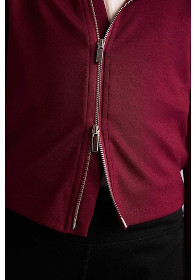 Defacto Fermuarlı Modal Hırka Kız Çocuk G9750a826spbr170 Bordo-br170