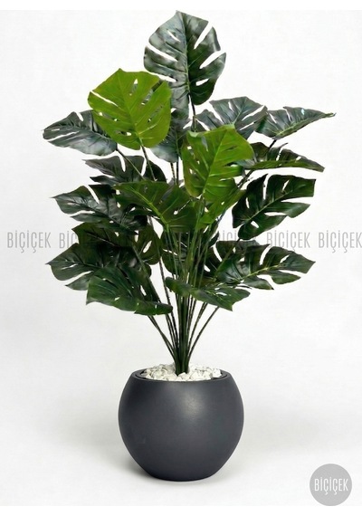 Biçiçek Yapay Monstera Deve Tabani Bi̇tki̇si̇ 65 Cm Antresi̇t Küre Saksıda